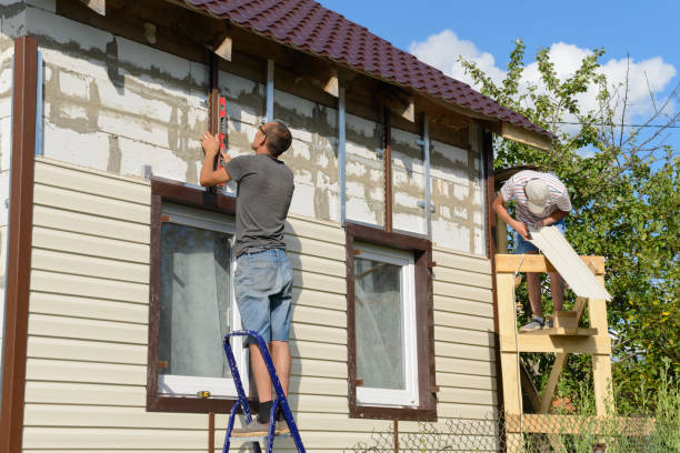 Best Custom Trim and Detailing for Siding  in Knoxvle, IL