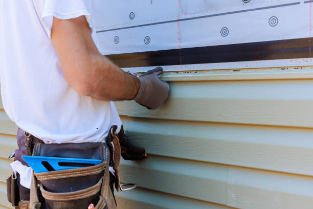 Affordable Siding Repair and Maintenance Services in Knoxville, IL